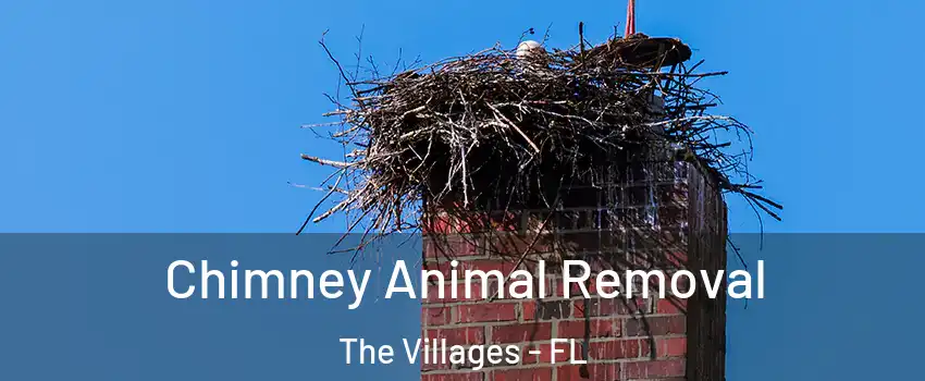  Chimney Animal Removal The Villages - FL