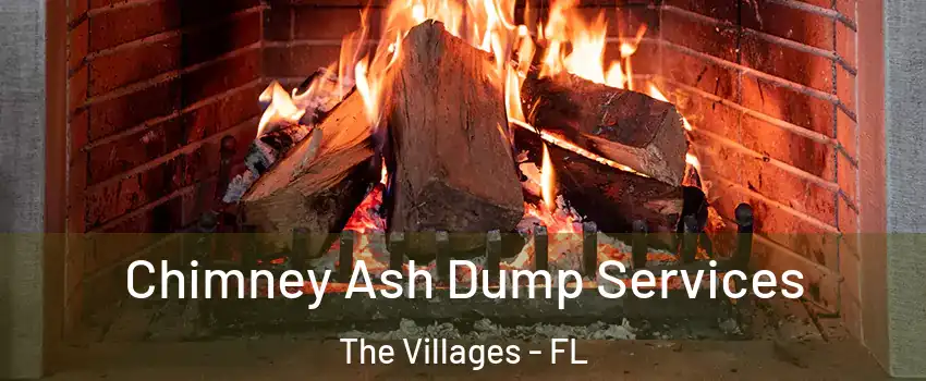  Chimney Ash Dump Services The Villages - FL