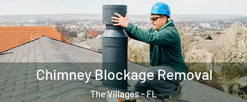  Chimney Blockage Removal The Villages - FL