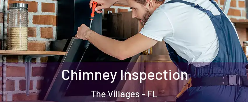  Chimney Inspection The Villages - FL