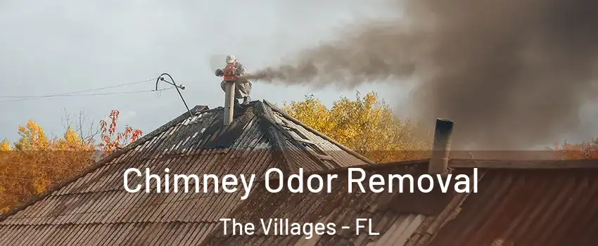  Chimney Odor Removal The Villages - FL