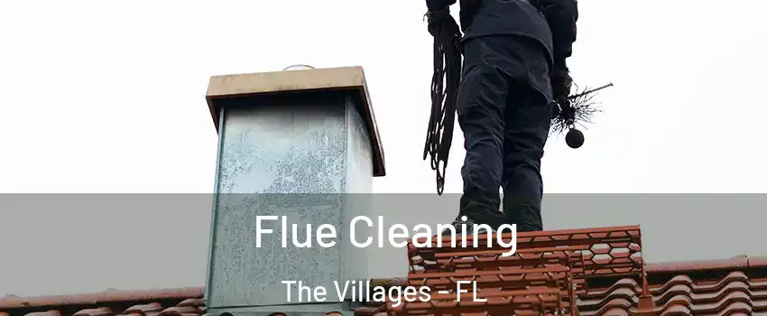  Flue Cleaning The Villages - FL