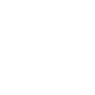 Professional Chimney Flue Installation in The Villages, Florida