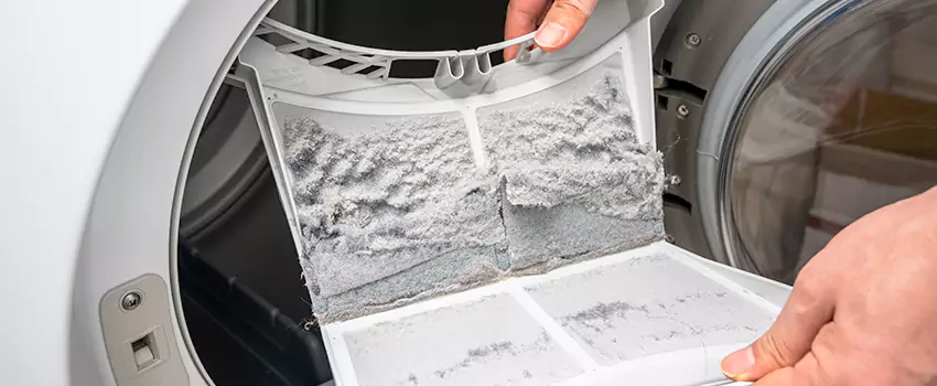 Best Dryer Lint Removal Company in The Villages, Florida