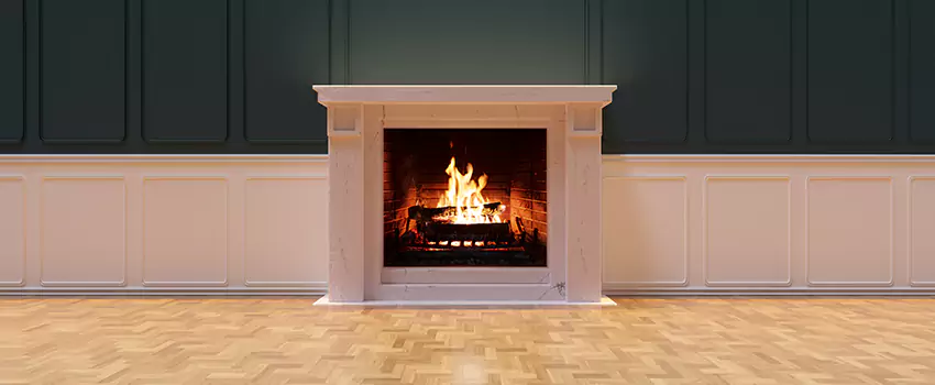 Napoleon Electric Fireplaces Inspection Service in The Villages, Florida