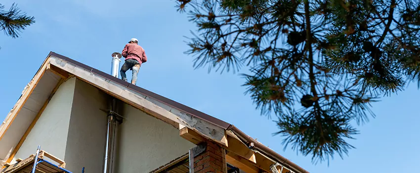 Birds Removal Contractors from Chimney in The Villages, FL
