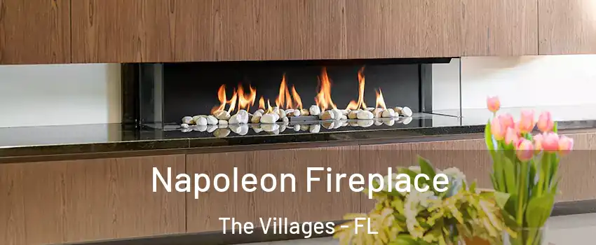  Napoleon Fireplace The Villages - FL